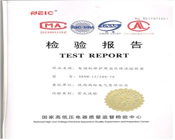 XRNM-12KV200A試驗報告封面